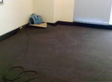carpet water flood extraction damage sydney